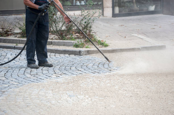 Best Fence Cleaning  in Walnut Grove, CA